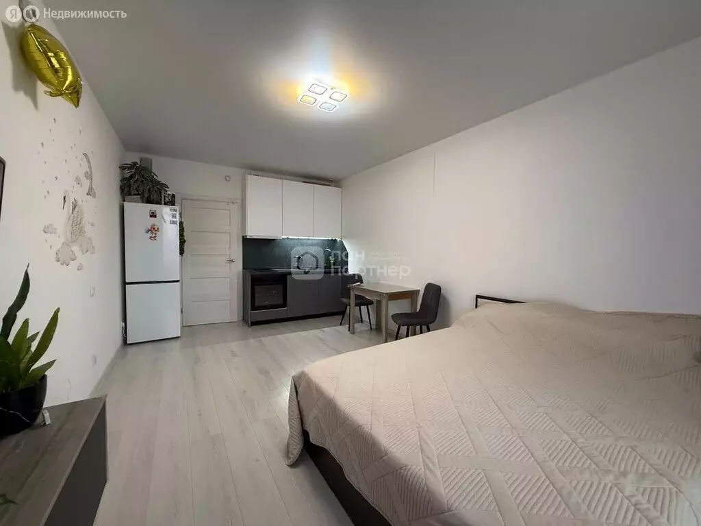 Квартира-студия: Санкт-Петербург, Суздальское шоссе, 20к4 (27.5 м) - Фото 2