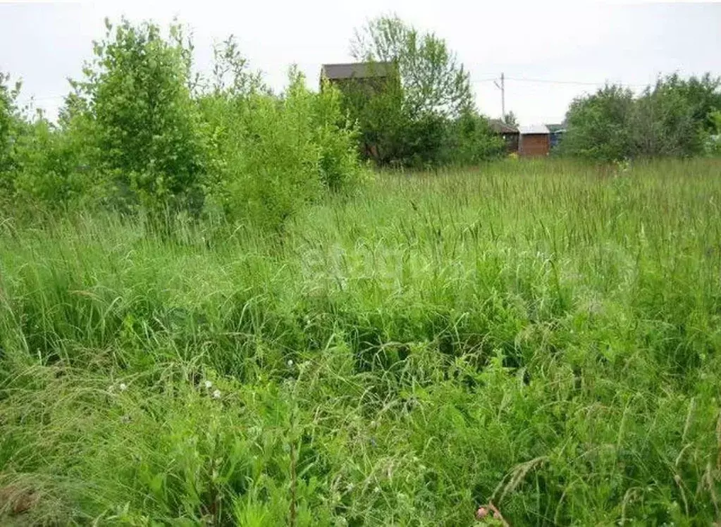 Участок в Свердловская область, Горноуральский городской округ, с. ... - Фото 1