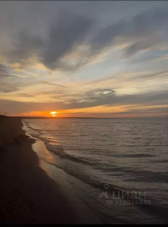 Участок в Краснодарский край, Ейский район, Кухаривское с/пос, с. ... - Фото 2