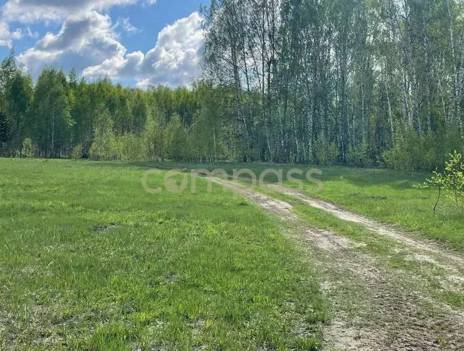 Участок в Тюменская область, Казанский район, д. Боровлянка  (17.87 ... - Фото 0