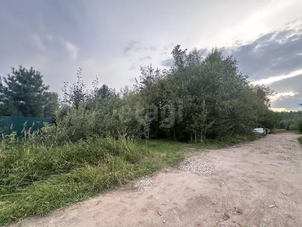 Участок в Коми, Сыктывдинский район, Выльгорт муниципальное ... - Фото 2