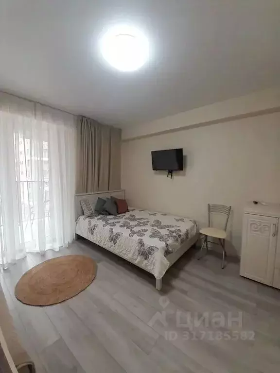 Студия Краснодарский край, Сочи городской округ, Дагомыс пгт ул. ... - Фото 0