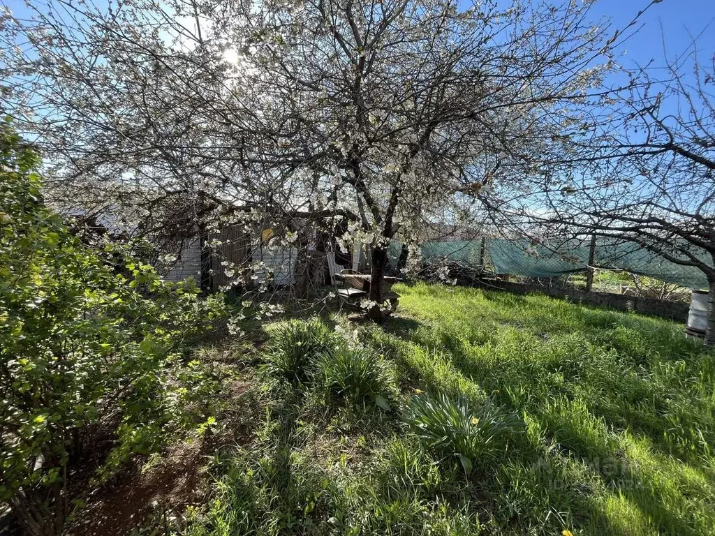 Участок в Севастополь Балаклавский муниципальный округ, Волна садовое ... - Фото 1