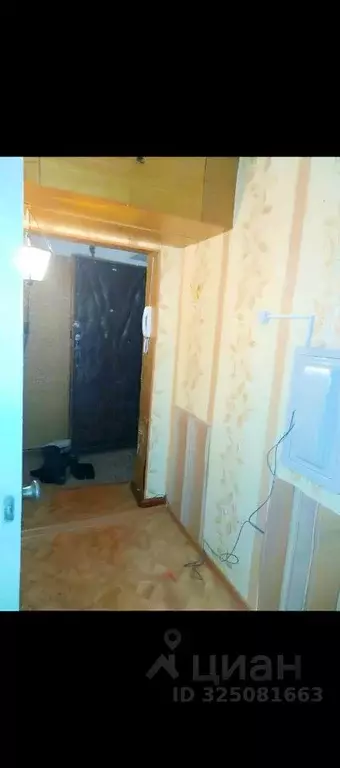 1-к кв. Пермский край, Пермь ул. Охотников, 25 (30.0 м) - Фото 2