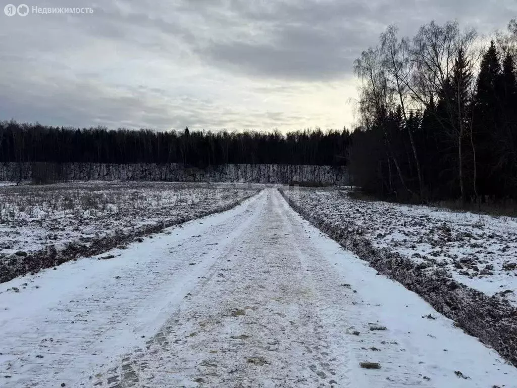 Участок в Московская область, городской округ Подольск, деревня ... - Фото 1