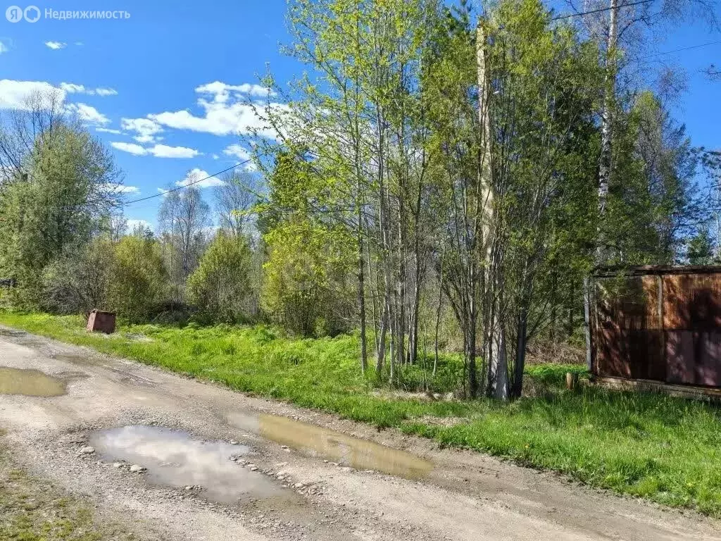 Участок в Байкальск, Озёрная улица (11.33 м) - Фото 2