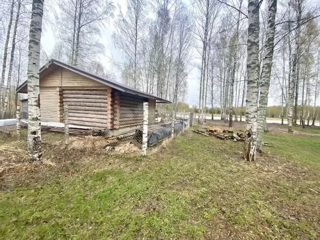 Участок в Костромская область, Красносельский муниципальный округ, ... - Фото 1