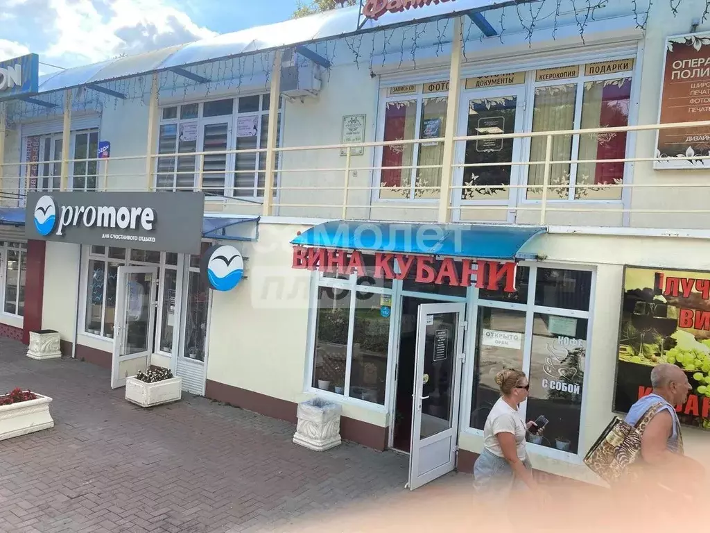 Помещение свободного назначения в Краснодарский край, Геленджик ... - Фото 2