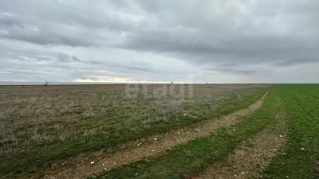 Участок в Крым, Черноморский район, с. Окуневка  (6.0 сот.) - Фото 1