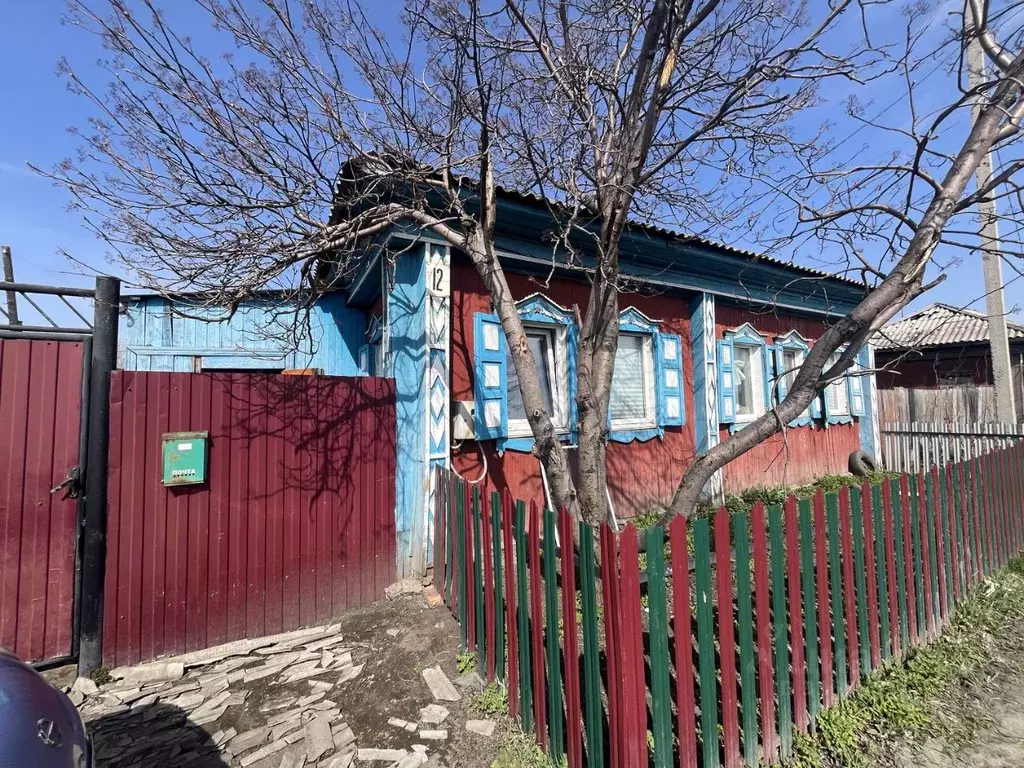 Дом в Омская область, Большеречье рп ул. Радищева, 12 (53 м) - Фото 1