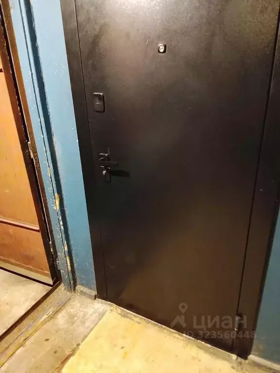 1-к кв. Вологодская область, Череповец ул. Маяковского, 13 (32.8 м) - Фото 1