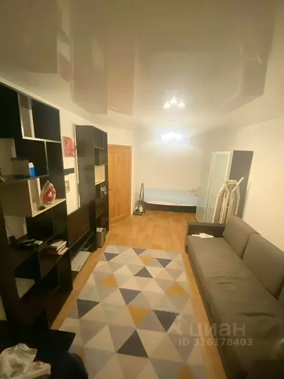 1-к кв. Нижегородская область, Дзержинск Прибрежная тер., наб. Окская, ... - Фото 1