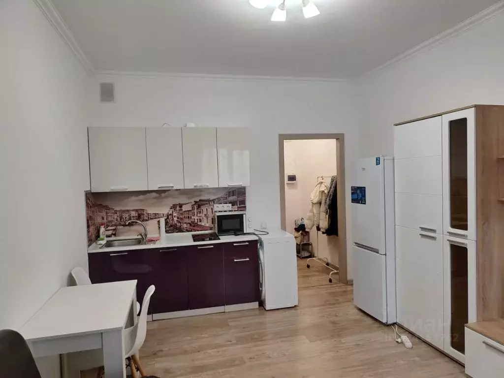 Студия Московская область, Солнечногорск городской округ, Голубое пгт ... - Фото 2