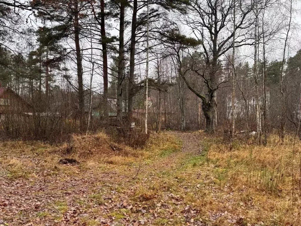 Участок в Ленинградская область, Ломоносовский район, Копорское с/пос, ... - Фото 1