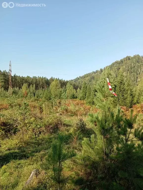Участок в Турочакский район, село Кебезень (10 м) - Фото 0