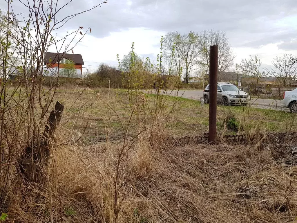 Участок в Нижегородская область, Богородский район, с. Доскино ... - Фото 0