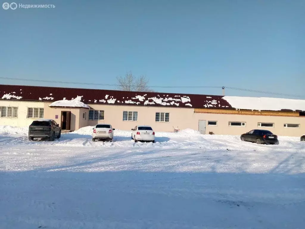 Помещение свободного назначения (555 м) - Фото 2