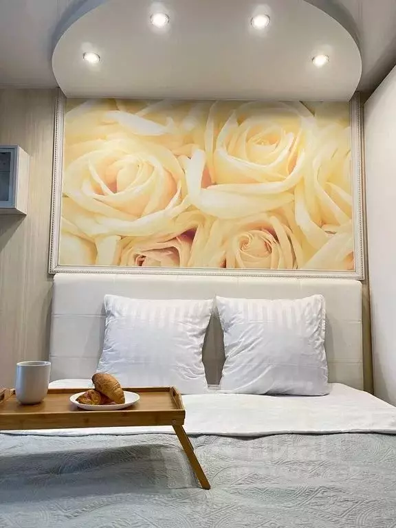 2-к кв. Нижегородская область, Нижний Новгород Северный жилрайон, ул. ... - Фото 2