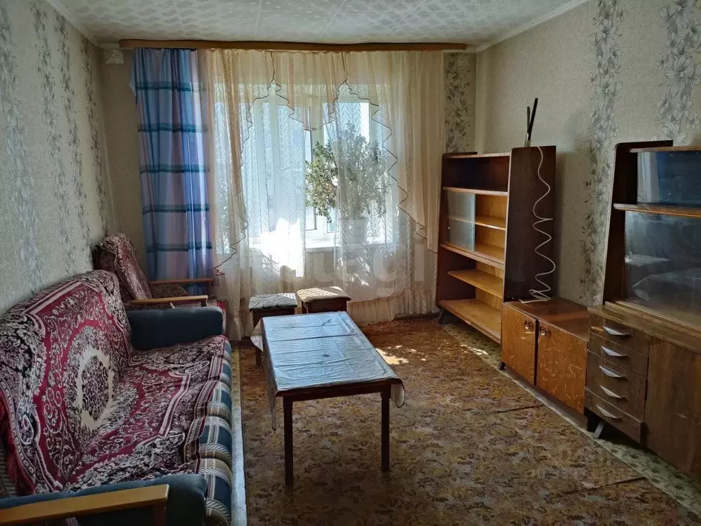Комната Курганская область, Курган просп. Конституции, 77Б (30.6 м) - Фото 2