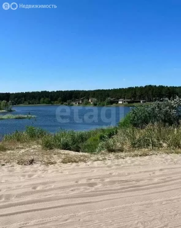 Участок в Брянская область, Сельцо (6 м) - Фото 1