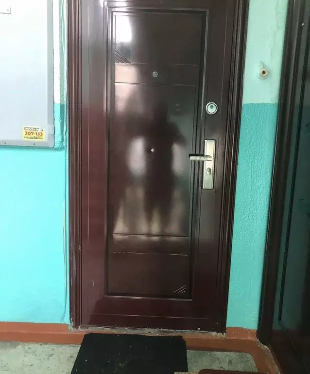 1-к кв. Алтайский край, Бийск ул. Александра Пушкина, 188к4 (31.0 м) - Фото 0