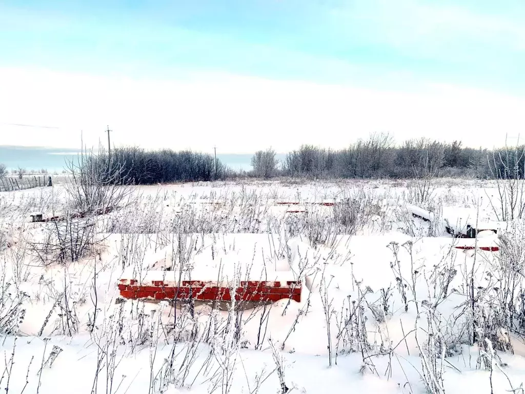 Участок в Чувашия, Козловский муниципальный округ, д. Липово  (15.0 ... - Фото 2