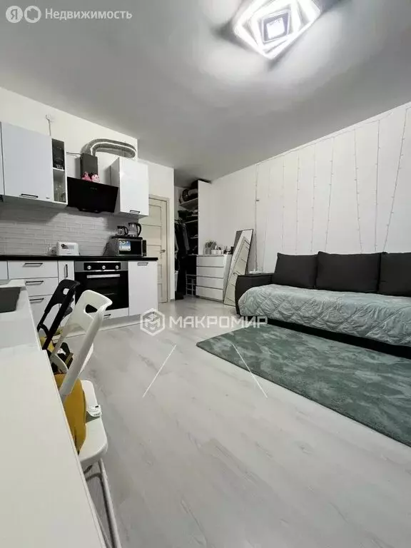Квартира-студия: Санкт-Петербург, Арцеуловская аллея, 17 (29.7 м) - Фото 2