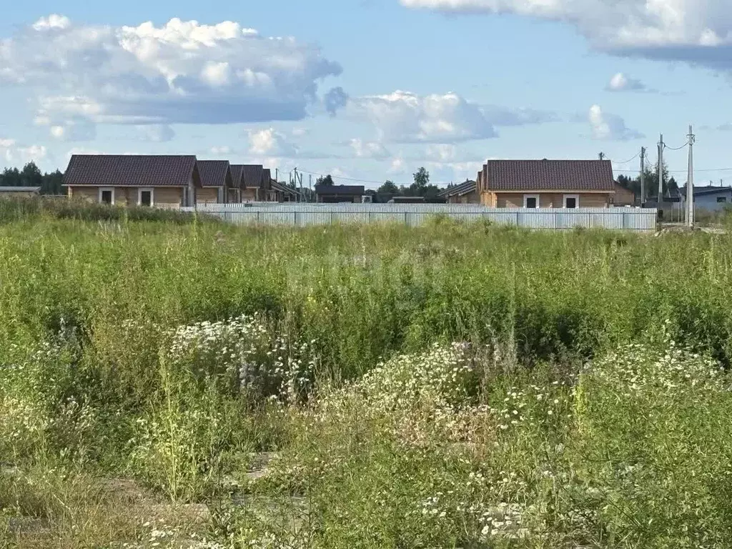 Участок в Тюменская область, Тюмень Садовое товарищество Липовый ... - Фото 1