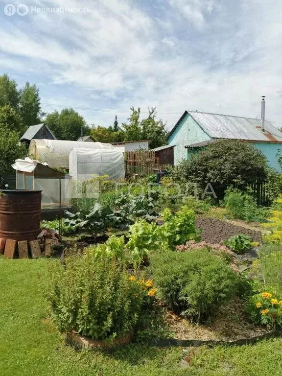 Дом в Мошковский район, СНТ Магистраль, 4 (50 м) - Фото 2