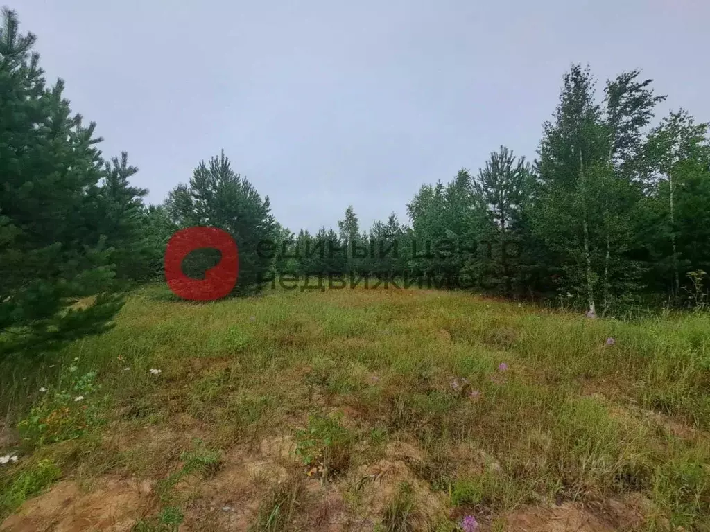 Участок в Тюменская область, Тюменский район, Новокаменский кп  (15.0 ... - Фото 0