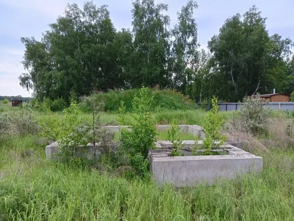 Участок в Омская область, Омский район, с. Усть-Заостровка ул. ... - Фото 1