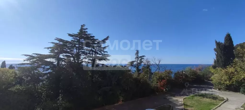 1-к кв. Крым, Ялта муниципальный округ, Симеиз пгт ул. Владимира ... - Фото 1