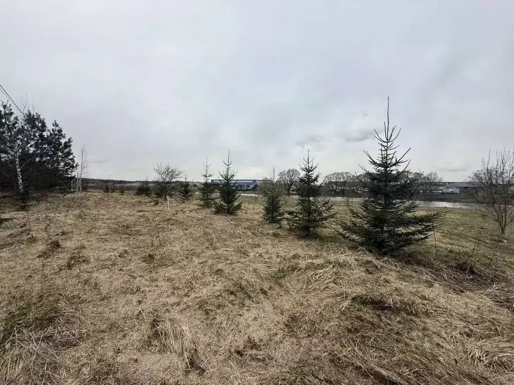 Участок в Московская область, Подольск городской округ, д. Бережки  ... - Фото 1