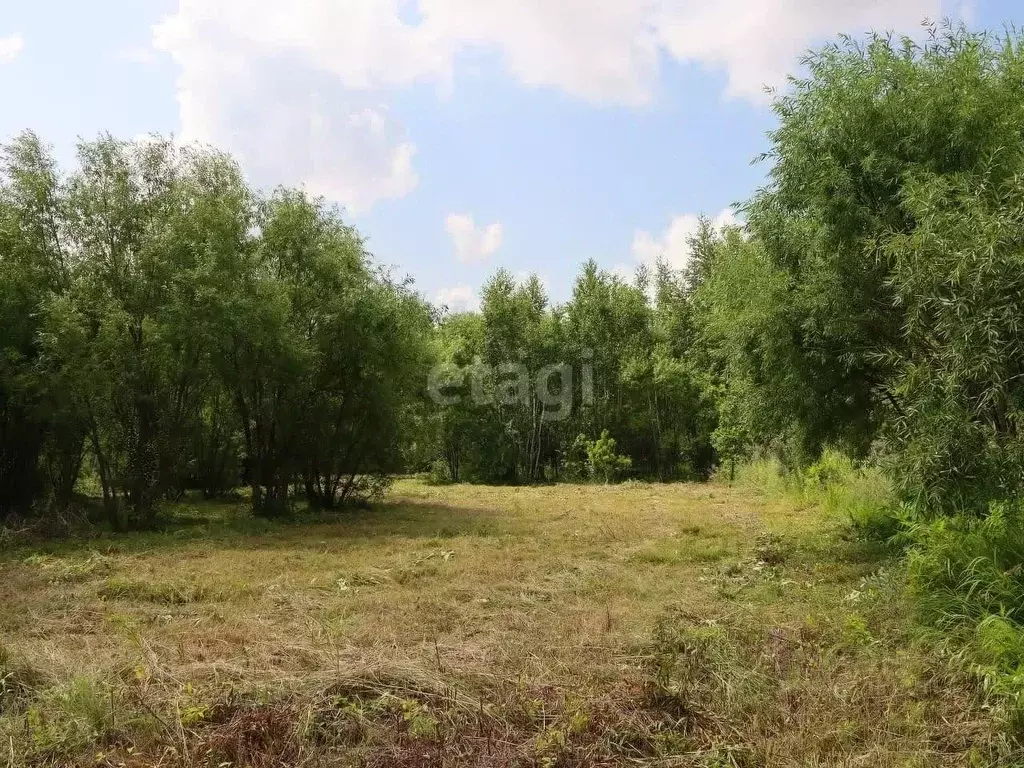 Участок в Амурская область, Благовещенский район, с. ... - Фото 0