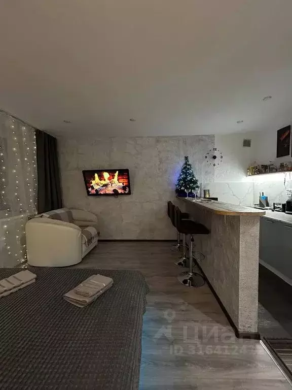 Студия Ленинградская область, Выборг ул. Сторожевой Башни, 9 (24.0 м) - Фото 2