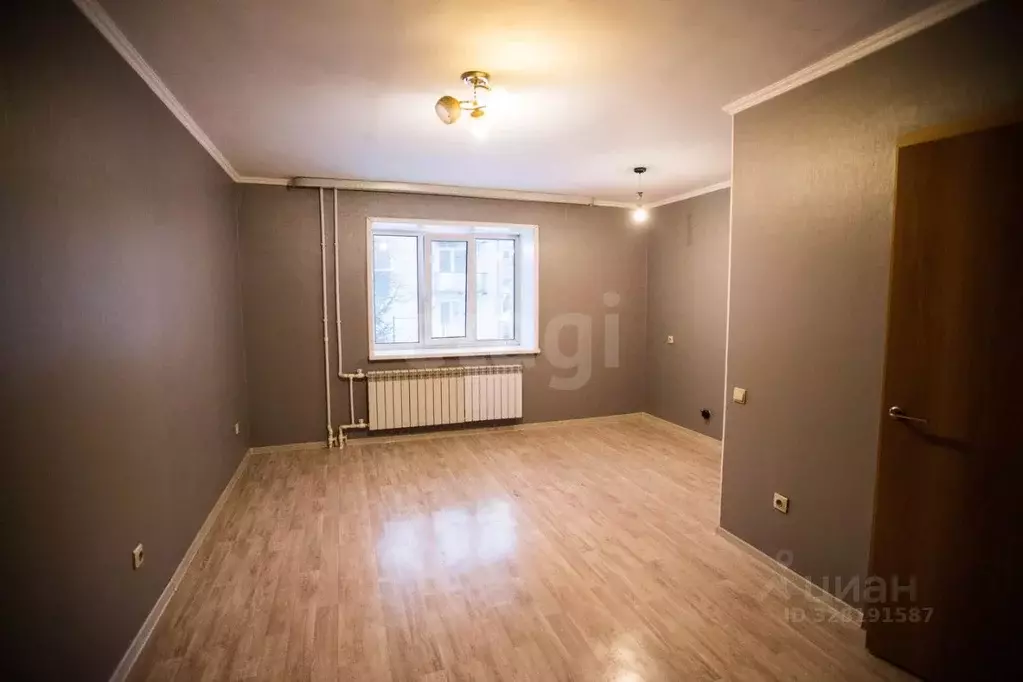 Студия Амурская область, Благовещенский район, с. Чигири Октябрьская ... - Фото 1