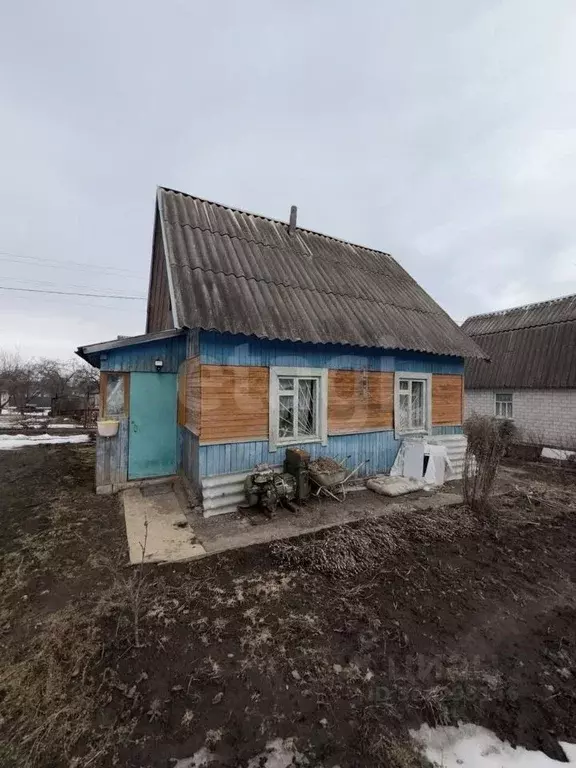 Дом в Брянская область, Брянский район, Мичуринское с/пос, ... - Фото 1