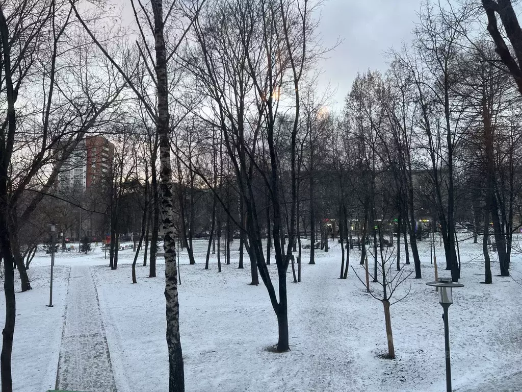 3-к кв. Москва Гвардейская ул., 16 (55.1 м) - Фото 1