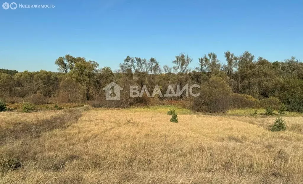 Участок в Старооскольский городской округ, село Бабанинка, Центральная ... - Фото 0