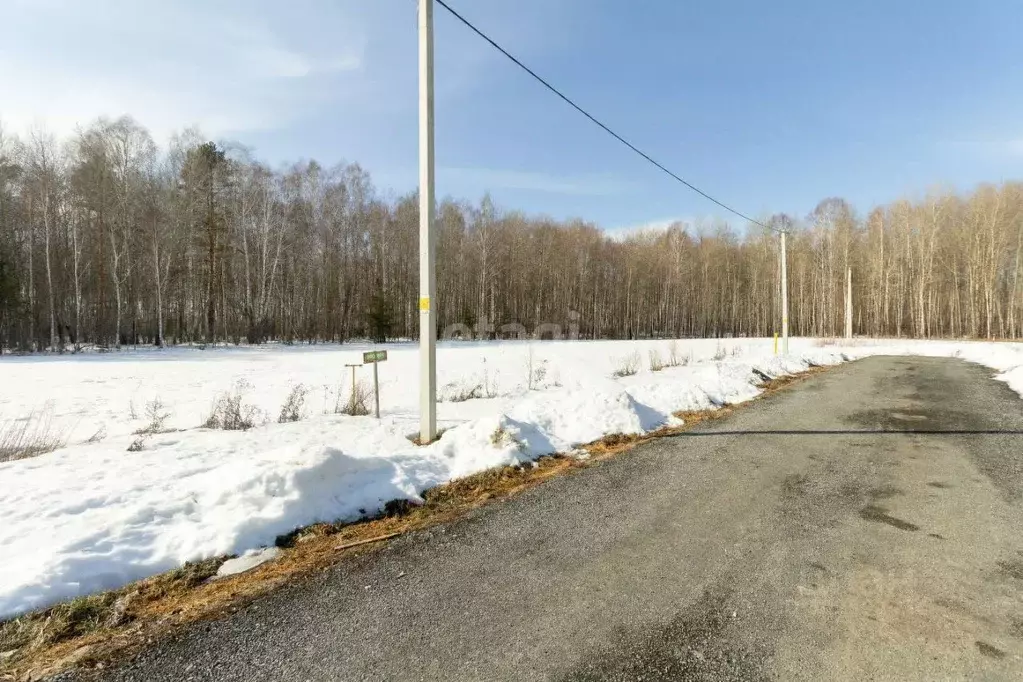 Участок в Тюменская область, Тюменский район, с. Кулига, Сказка кп  ... - Фото 1