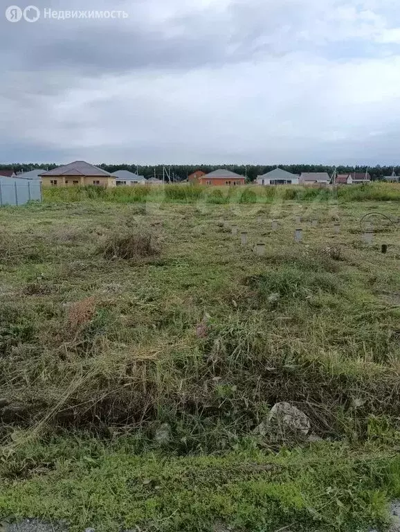 Участок в Тюменский муниципальный округ, ТСН Пятница (10 м) - Фото 1