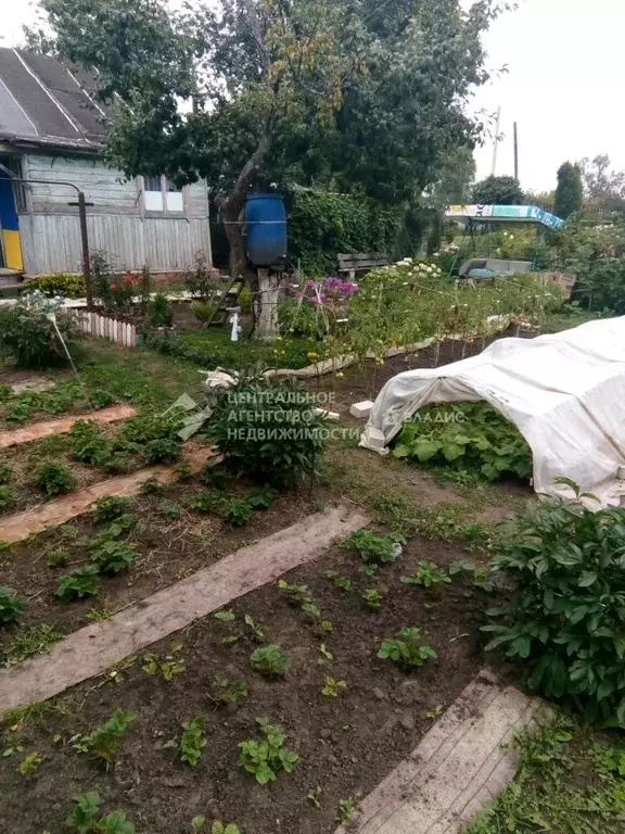 Дом в Рязанская область, Рязань Весна СТ,  (29 м) - Фото 2