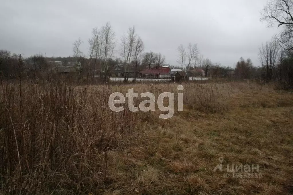 Участок в Пензенская область, с. Вадинск ул. Большая Закеренка (19.0 ... - Фото 1