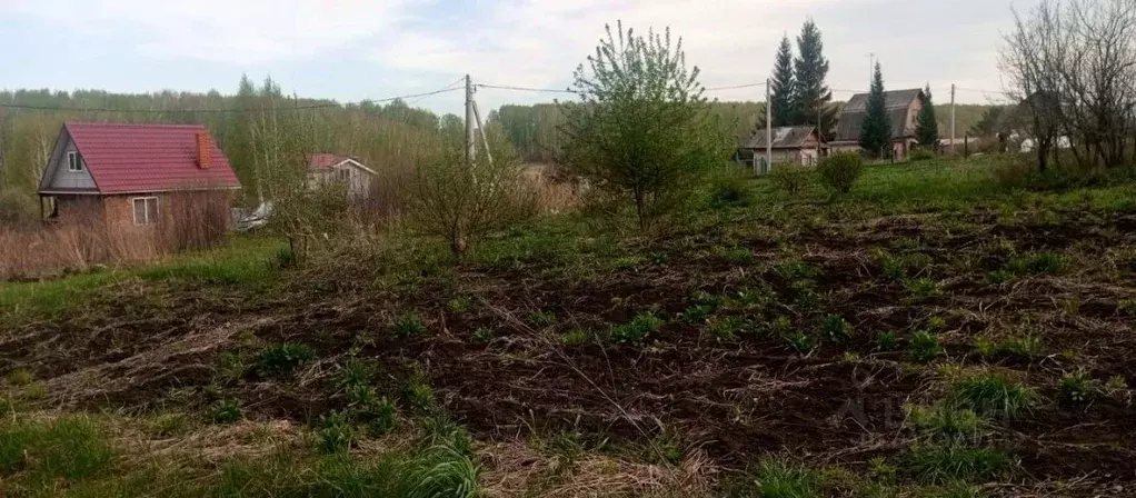 Участок в Кемеровская область, Ленинск-Кузнецкий муниципальный округ, ... - Фото 2