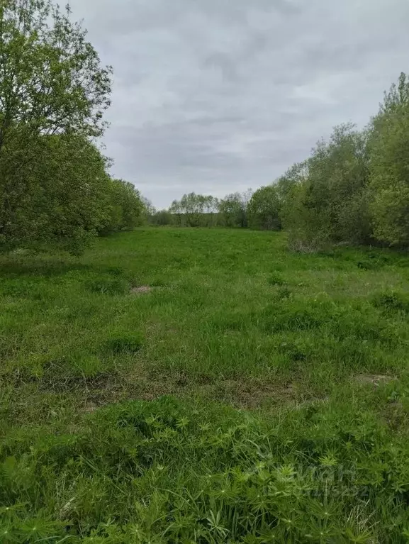 Участок в Московская область, Егорьевск городской округ, д. Харинская  ... - Фото 1