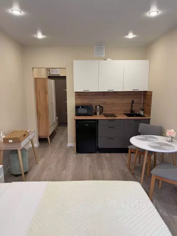 Студия Краснодарский край, Сочи ул. Искры, 88к3 (28.0 м) - Фото 2