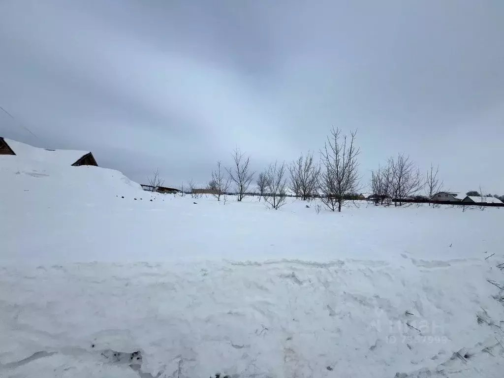 Участок в Татарстан, Зеленодольский район, Большеключинское с/пос, с. ... - Фото 1