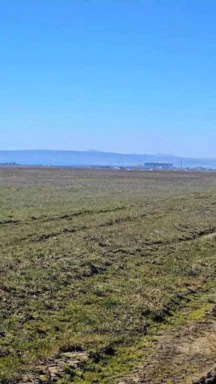 Участок в Крым, Ленинский район, Батальненское с/пос  (100.0 сот.) - Фото 2