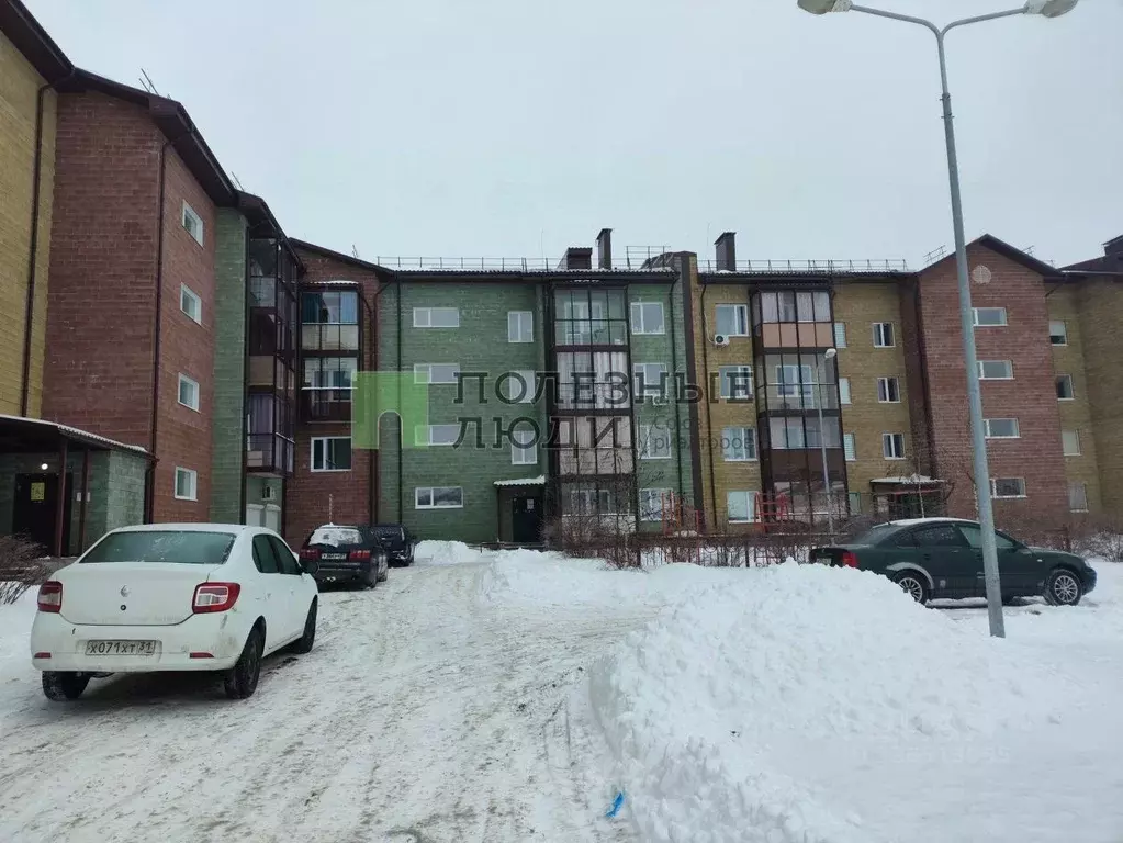 1-к кв. Белгородская область, Белгородский район, с. Стрелецкое ул. ... - Фото 1