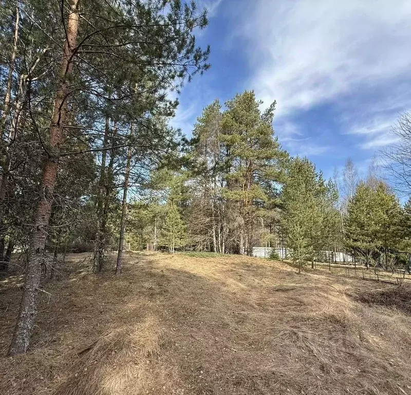 Участок в Ленинградская область, Выборгский район, Селезневское с/пос, ... - Фото 2